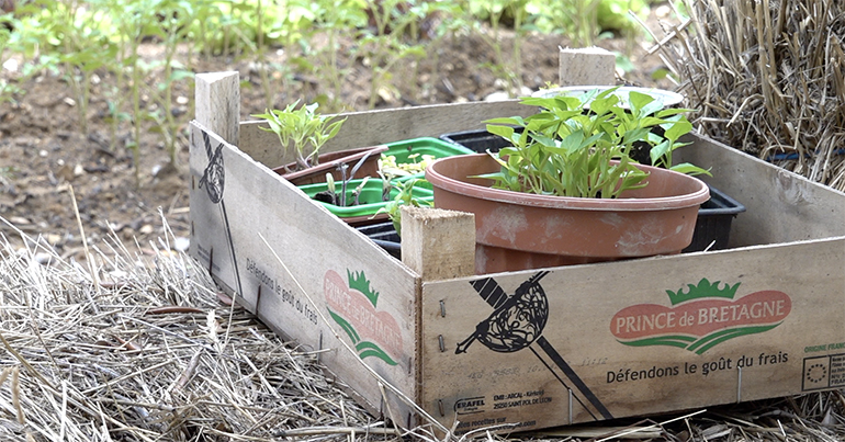 Jardins pédagogiques et partagés de Pasteur